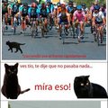 gato negros=mala suerte