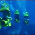 underwater ride on the bahama's