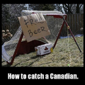 Catching Canadians 
