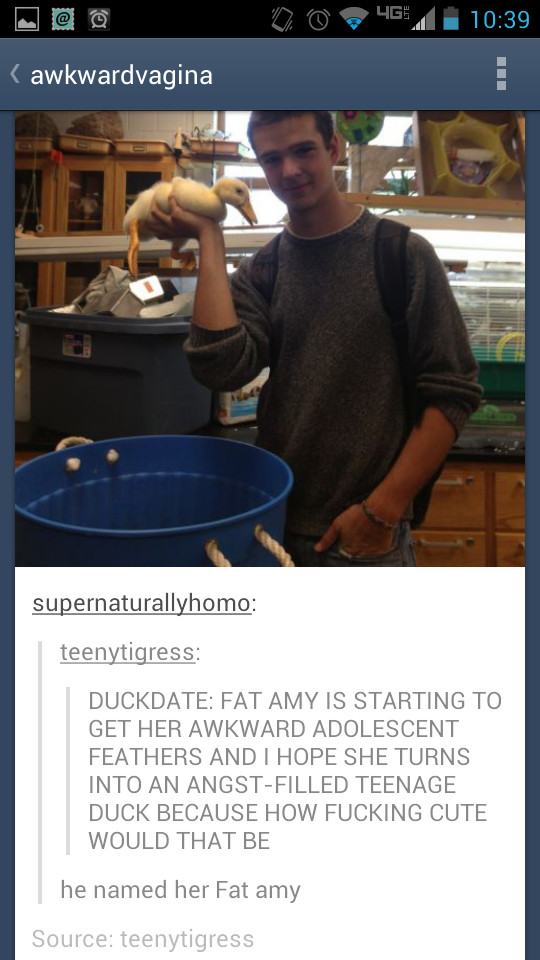 Fat Amy - meme