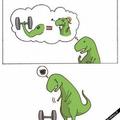 Pauvre Tyrannosaure... :'(