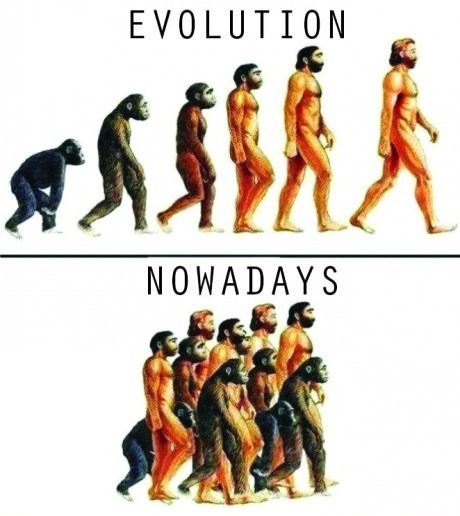 evolution - meme