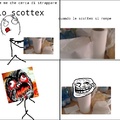 scottex