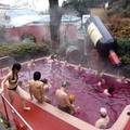 Wine Spa Pool! (Japan)