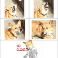 commented item thumbnail