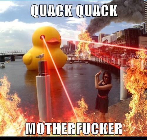 quack quak - meme