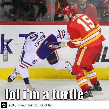 Oilers suck!! Lol turtles!! - meme