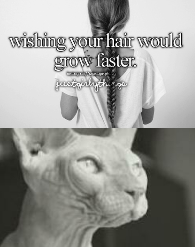 Wanting your hair to grow faster - meme