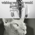 Wanting your hair to grow faster