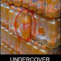undercover coke