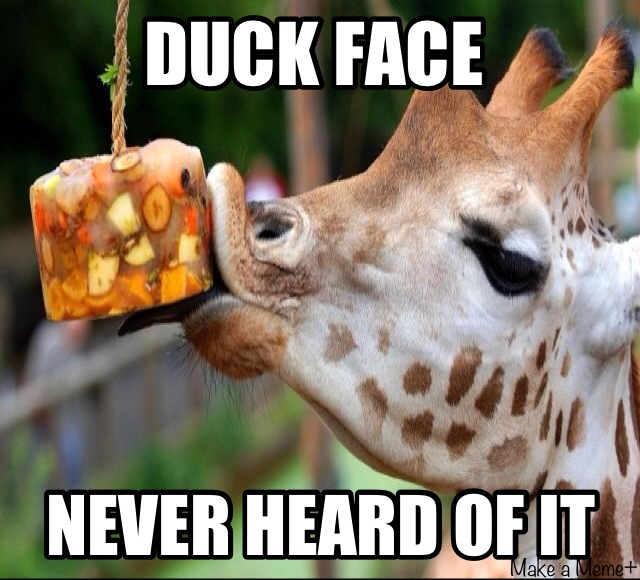 Giraffe face - meme