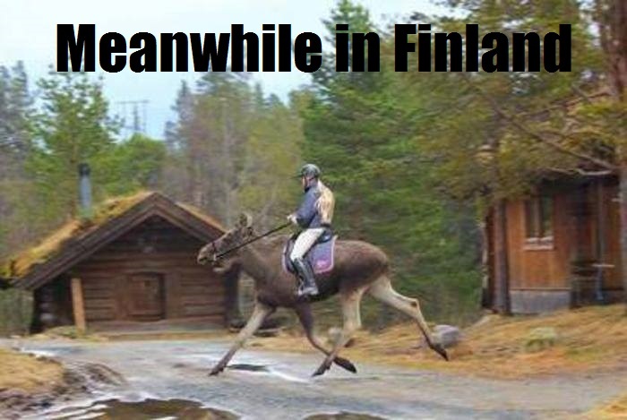 Meanwhile in Finland.. - meme