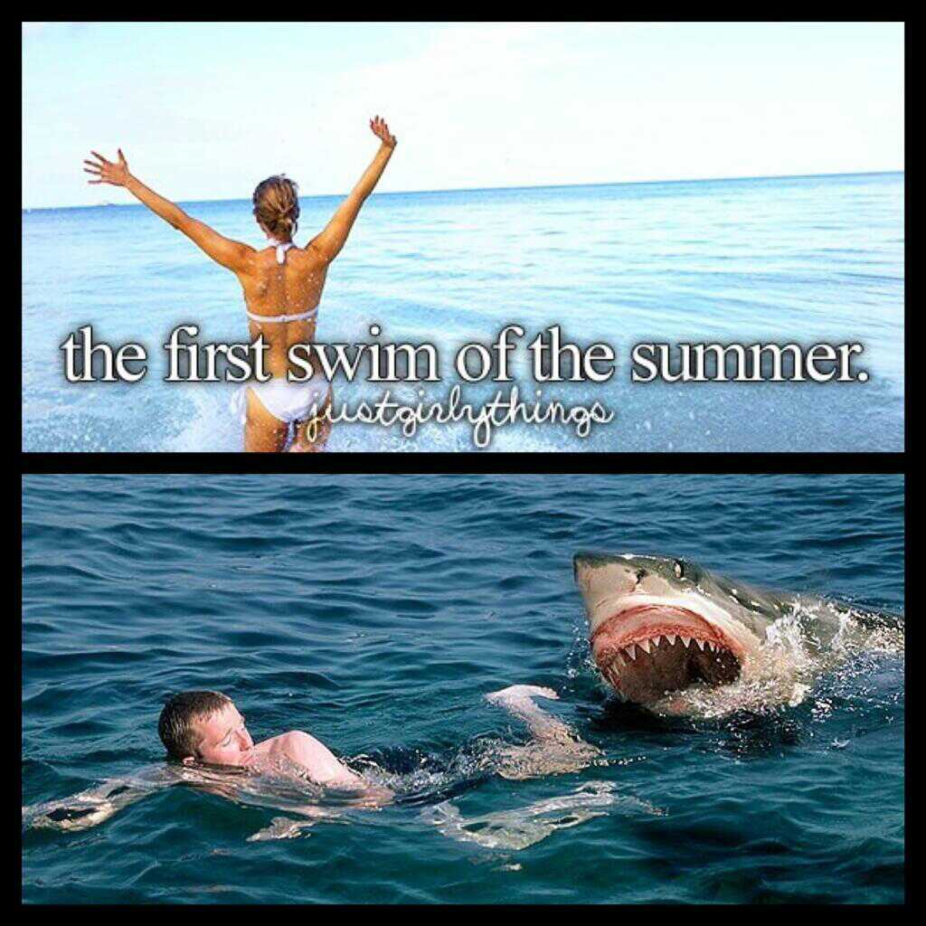 first day of summer - meme