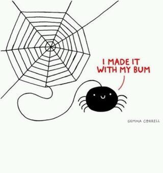 itsy bitsy spider - meme