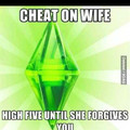 Sims logic