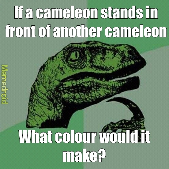 Cameleon - meme