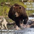 piss off grizzly