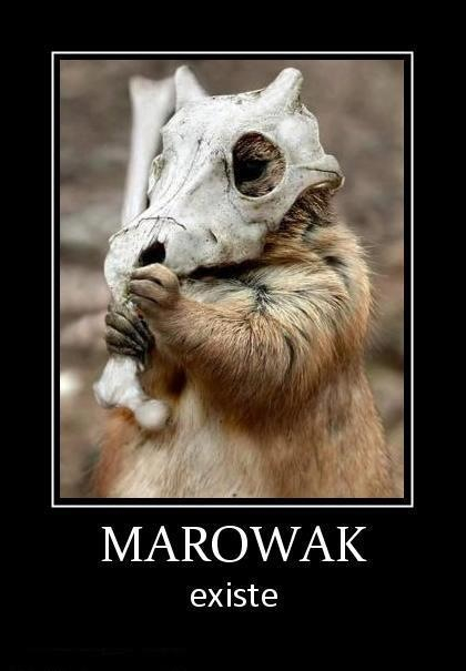 Marowaak weon! - meme