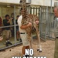 all your giraffes are belong to me
