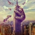 sloth kong