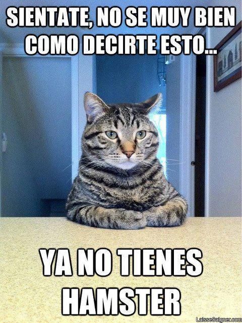 Dificil - meme