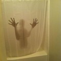 my new shower curtain