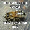 Bad luck bee
