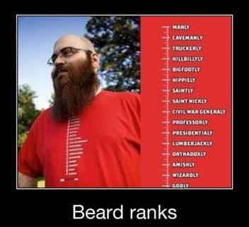 professional beard grower - meme