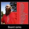professional beard grower