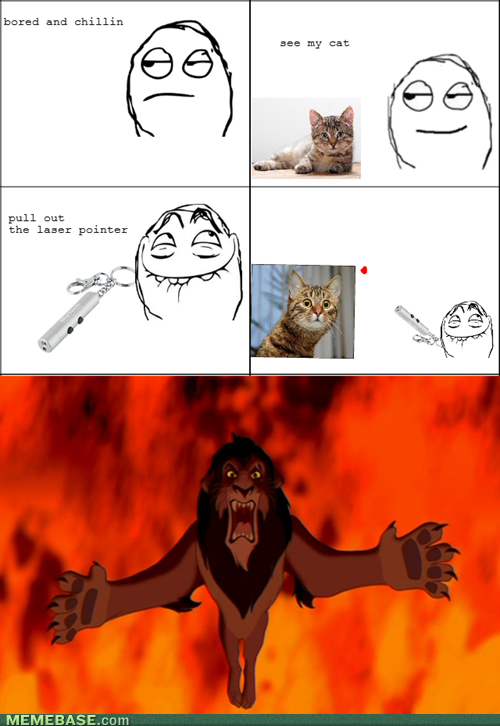 cats logic - meme