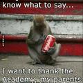 proud monkey