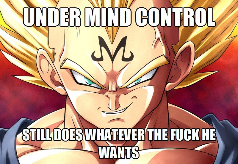 You so crazy Vegeta, and we love you for it, sir. - meme