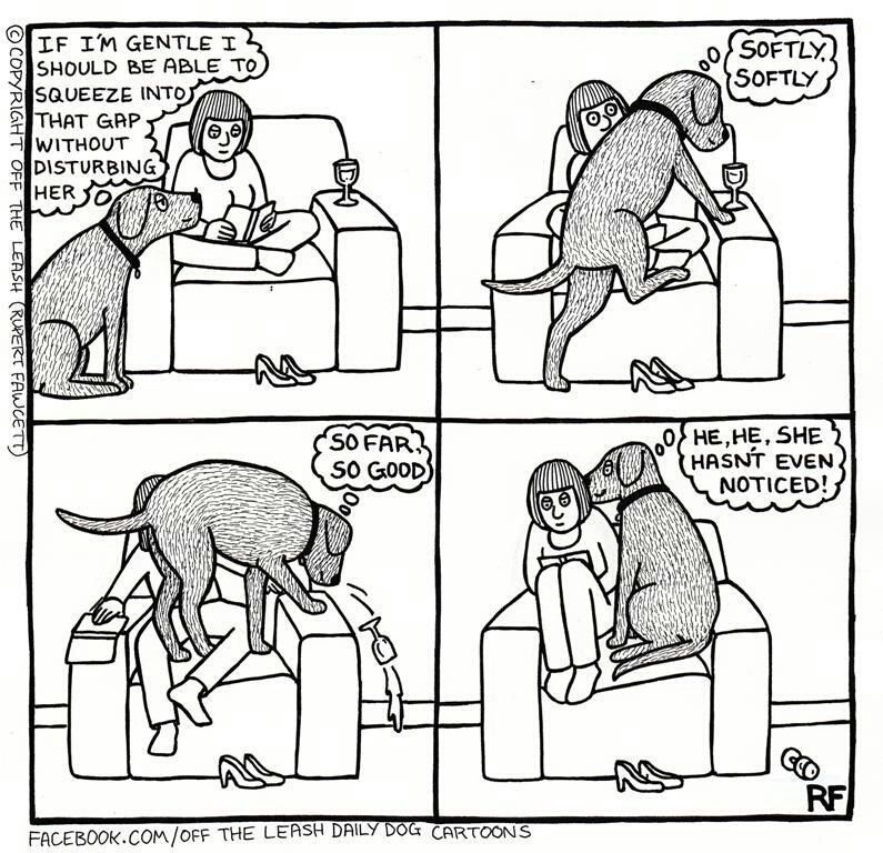 Exactly what my dog does - meme