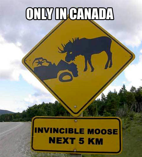 moose the invincible bl2 - meme