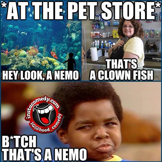 that's a Nemo - meme