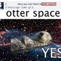 in otter space no one can hear you laugh
