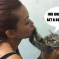 kiss the cat