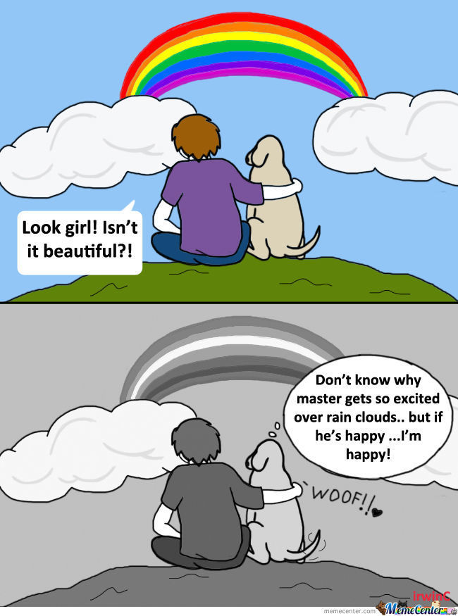dogs and rainbows - meme