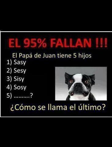 el 95% fallan - meme