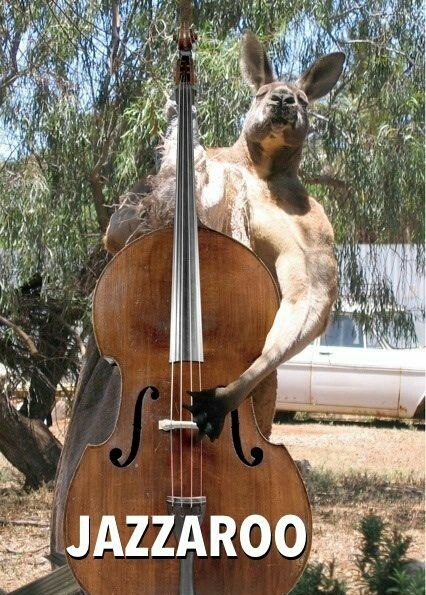 kangaroos are buff as hell - meme