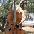 kangaroos are buff as hell