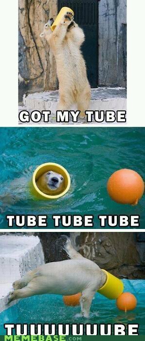tube? - meme