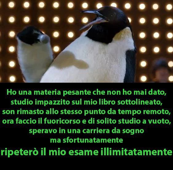 il Pinguino - meme