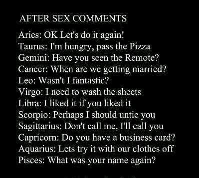 What are you? - meme