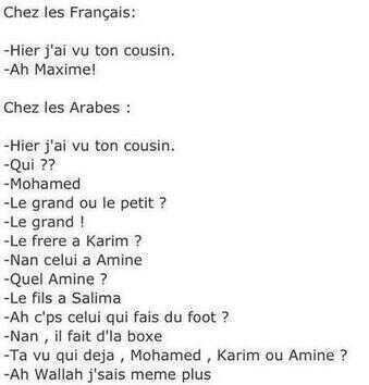 les arabes et les français x - meme