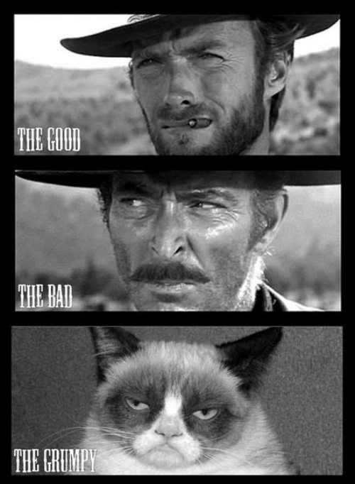 the good, the bad and the grumpy - meme