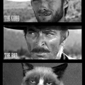 the good, the bad and the grumpy