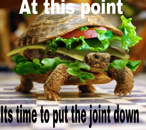 Turtle Burger m/ >.< m/ - meme