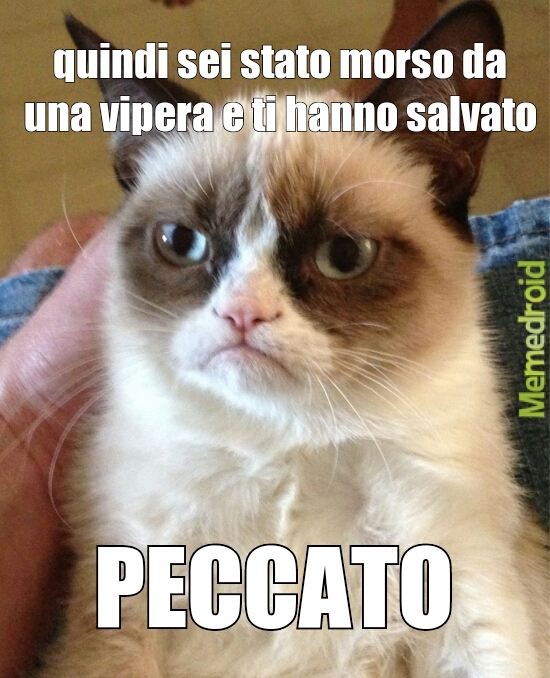 PECCATO!!!!!! - meme