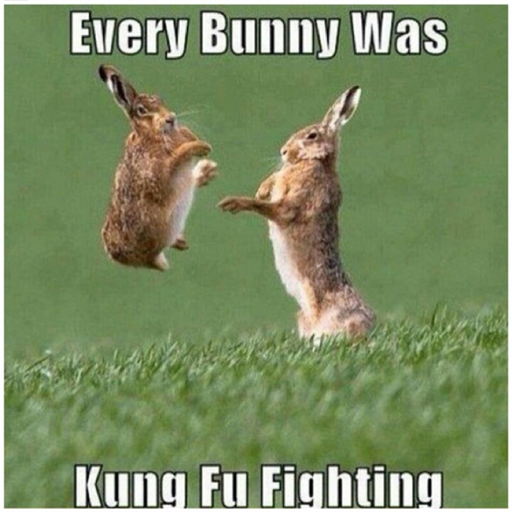 Every Bunny was Kung Fu Fighting - meme